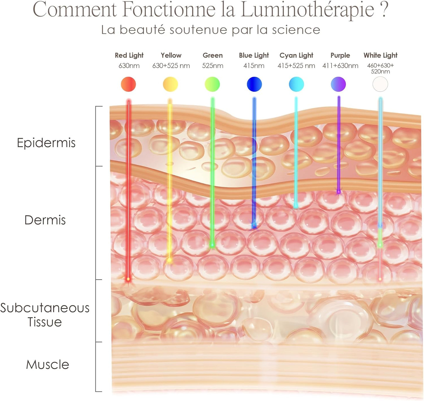 Lumamask LED Light Therapy by | 7 LED Colors | Anti-Aging Skincare | Reduce Fine Lines & Wrinkles | Skin Tightening | Lightweight & Wireless